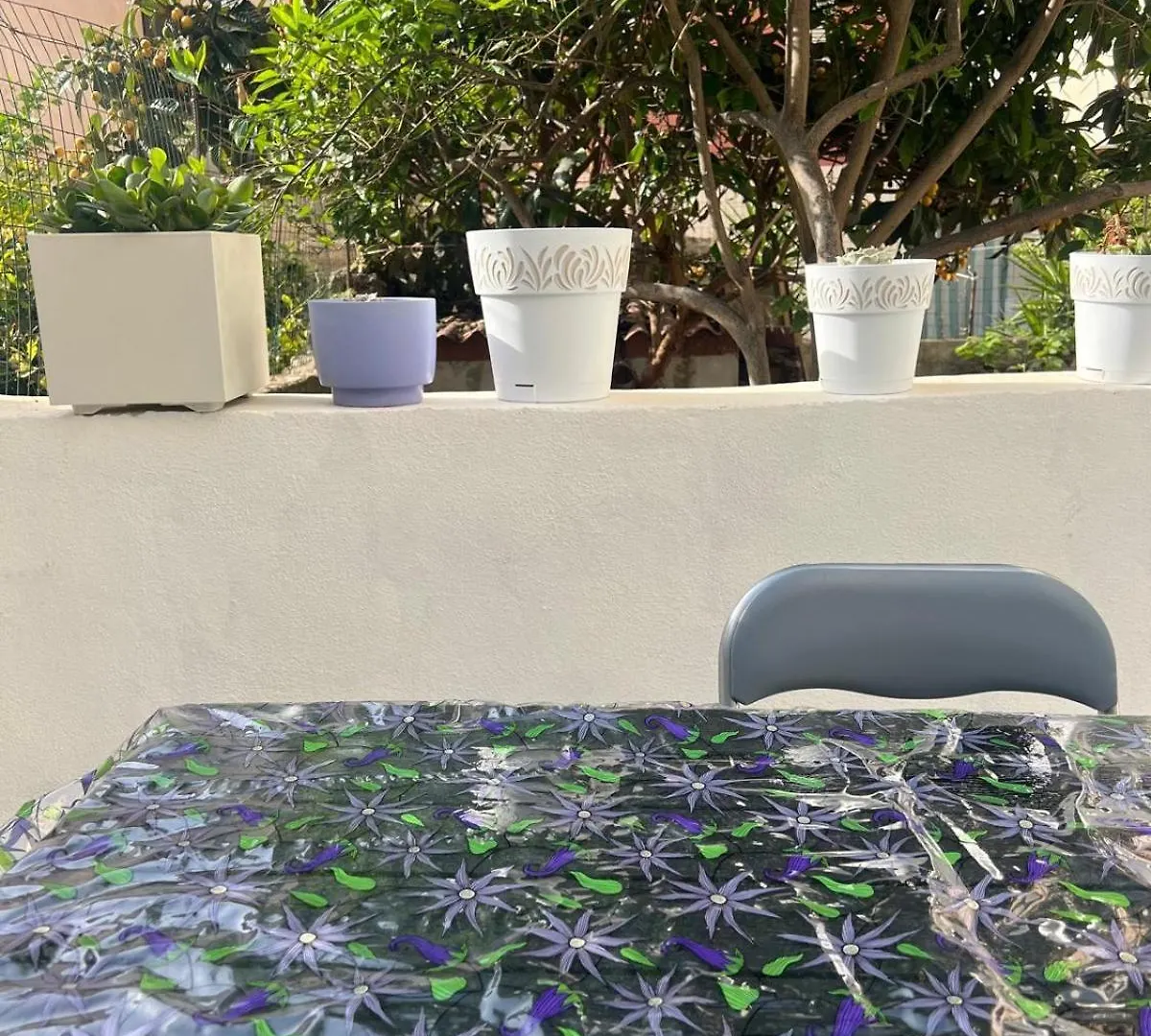 Casacirina Διαμέρισμα Αλγκέρο 0*,