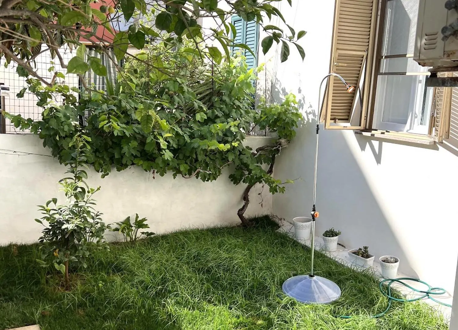 Casacirina Διαμέρισμα Αλγκέρο Ιταλία